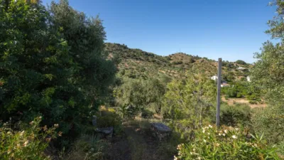 Rustic finca in South Of Spain photo 29