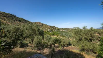 Rustic finca in South Of Spain photo 30