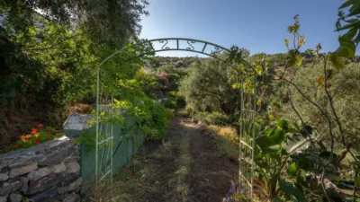 Rustic finca in South Of Spain photo 31