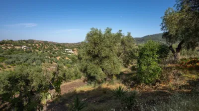 Rustic finca in South Of Spain photo 33
