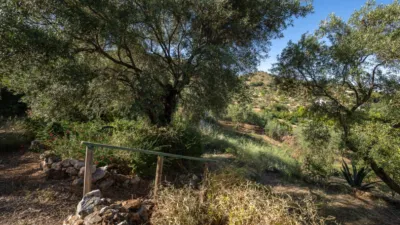 Rustic finca in South Of Spain photo 34