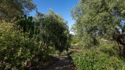 Rustic finca in South Of Spain photo 36