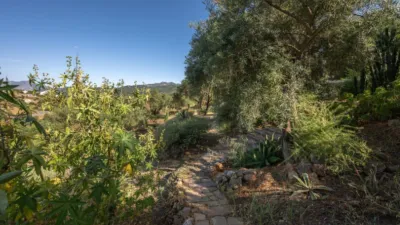 Rustic finca in South Of Spain photo 37