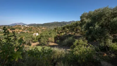Rustic finca in South Of Spain photo 38