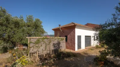 Rustic finca in South Of Spain photo 5