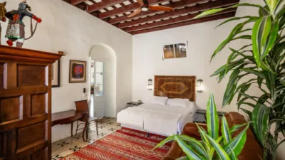House in Vejer de La Frontera photo 32