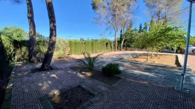 Miniatura 11