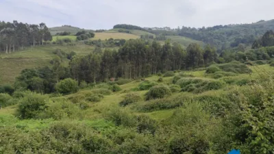 Rustic Finca on Calle Barrio Iseca Nueva photo 11