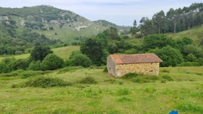 Rustic Finca on Calle Barrio Iseca Nueva photo 3