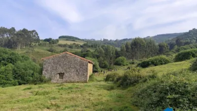 Rustic Finca on Calle Barrio Iseca Nueva photo 4