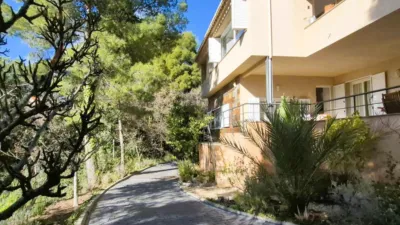 Chalet on Passeig del Pla photo 61