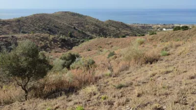 Terreno en venta en Carretera de Chilches, Chilches (Vélez-Málaga) de 30.000 €