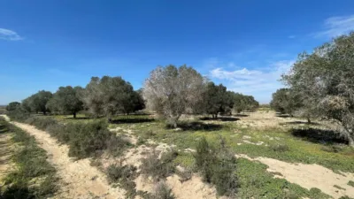 Terreno en venta en La Marina - Vista 2