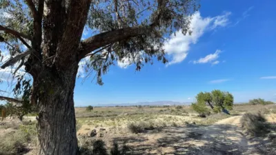 Terreno en venta en La Marina - Vista 5
