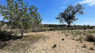 Terreno en venta en La Marina - Más