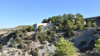 Rustic Finca in La Majada photo 12