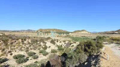 Rustic Finca in La Majada photo 15