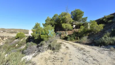 Rustic Finca in La Majada photo 16