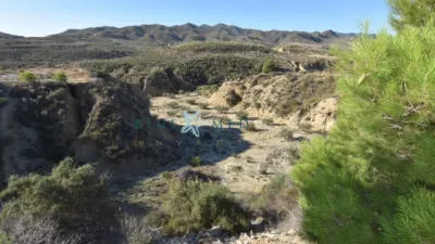 Rustic Finca in La Majada photo 17