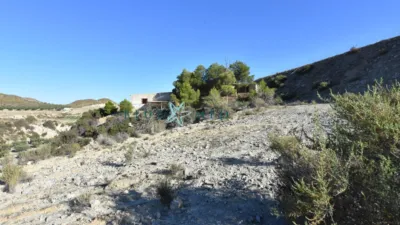 Rustic Finca in La Majada photo 38