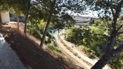 Rustic Finca in La Majada photo 3