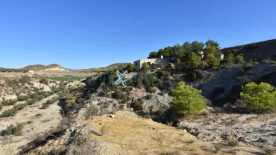 Rustic Finca in La Majada photo 40