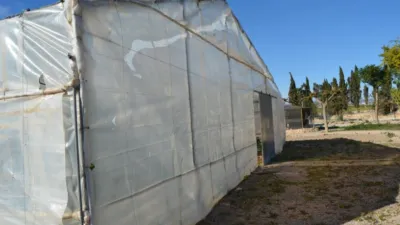 Finca rústica en venta en Avileses, Valladolises y Lo Jurado (Distrito Campo de Murcia. Murcia Capital) de 429.000 €