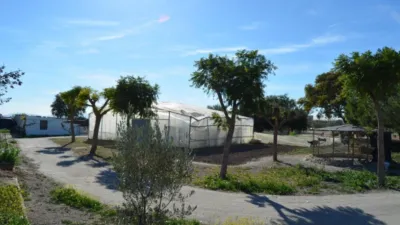 Finca rústica en venta en Avileses, Valladolises y Lo Jurado (Distrito Campo de Murcia. Murcia Capital) de 429.000 €