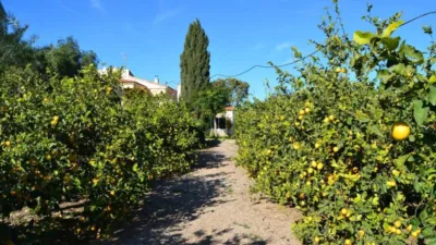 Finca rústica en venta en Avileses, Valladolises y Lo Jurado (Distrito Campo de Murcia. Murcia Capital) de 429.000 €
