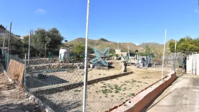 Rustic Finca in Las Balsicas photo 15