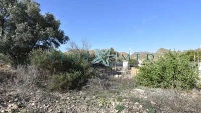 Rustic Finca in Las Balsicas photo 24