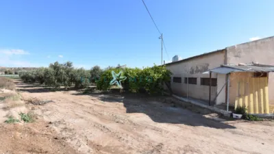 Rustic Finca in Cañadas del Romero photo 13