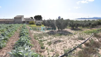 Rustic Finca in Cañadas del Romero photo 18