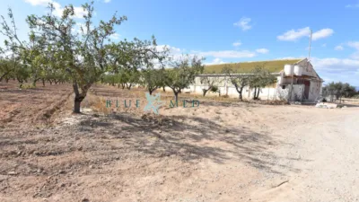 Rustic Finca in Cañadas del Romero photo 24