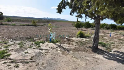 Rustic Finca in Cañadas del Romero photo 27