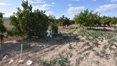 Rustic Finca in Cañadas del Romero photo 28
