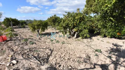 Rustic Finca in Cañadas del Romero photo 31