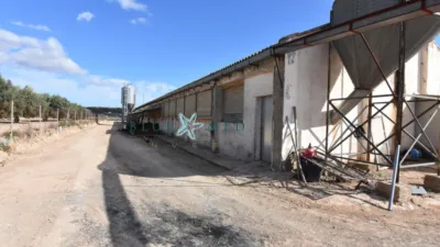 Rustic Finca in Cañadas del Romero photo 85