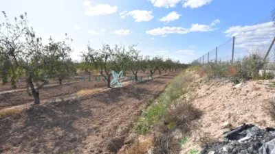 Rustic Finca in Cañadas del Romero photo 8
