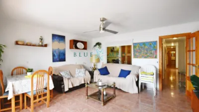 Apartment on Paseo de Francisco Martínez Muñoz, No. SN photo 4