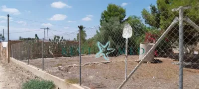 Rustic finca in Alhama de Murcia photo 13