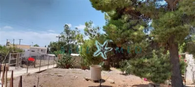 Rustic finca in Alhama de Murcia photo 18