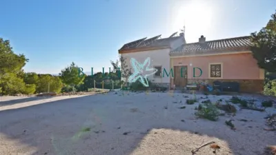 Rustic finca on Morti Alto Street photo 2
