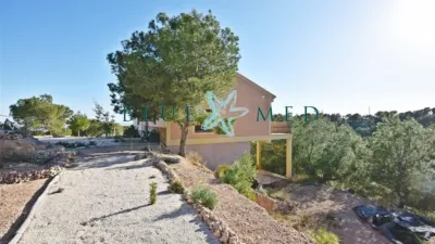 Rustic finca on Morti Alto Street photo 3