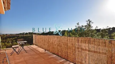 Rustic finca on Morti Alto Street photo 5