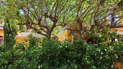 Rustic property on Calle de la Fuente Alta photo 9