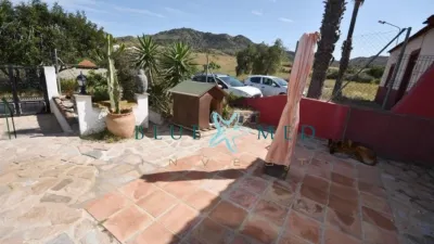 Rustic finca at Calle de Leiva, No. 118 photo 44