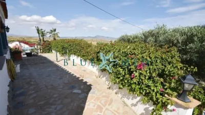 Rustic finca at Calle de Leiva, No. 118 photo 51