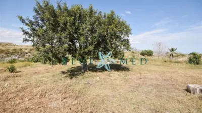 Rustic finca at Calle de Leiva, No. 118 photo 69