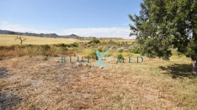 Rustic finca at Calle de Leiva, No. 118 photo 70